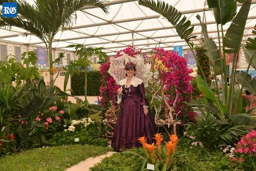 2014 Clelsea Flower Show garden