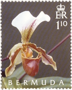 Bermuda stamp orchids 4 2005