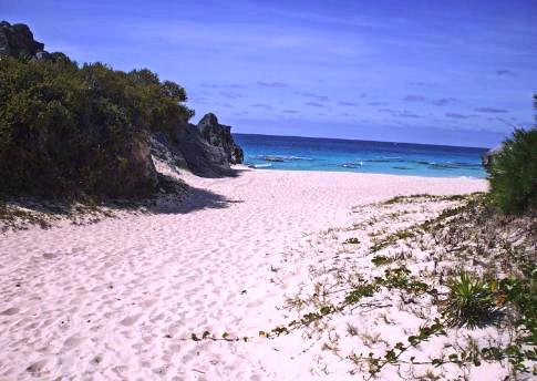 Bermuda's Gorgeous Pink Sand Beaches