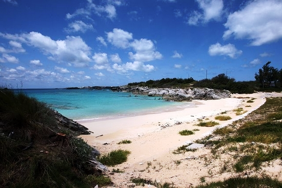 Coopers Island Narure Reserve beach 1