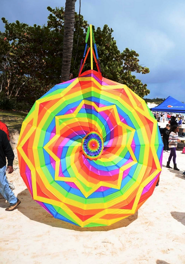 Kite in Bermuda 2013