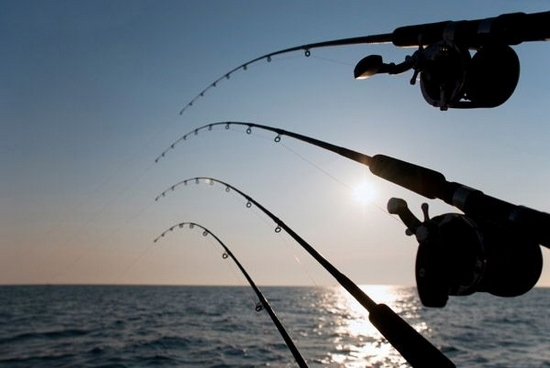 fishing off Bermuda