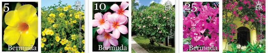 2014 Bermuda Flowers postage stamps