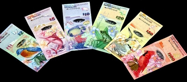 Bermuda dollar anker powercore