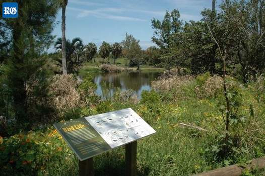 Higgs Nature Reserve