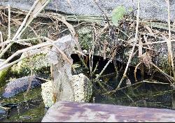 Pembroke Canal 02