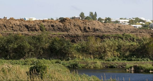 Pembroke Marsh