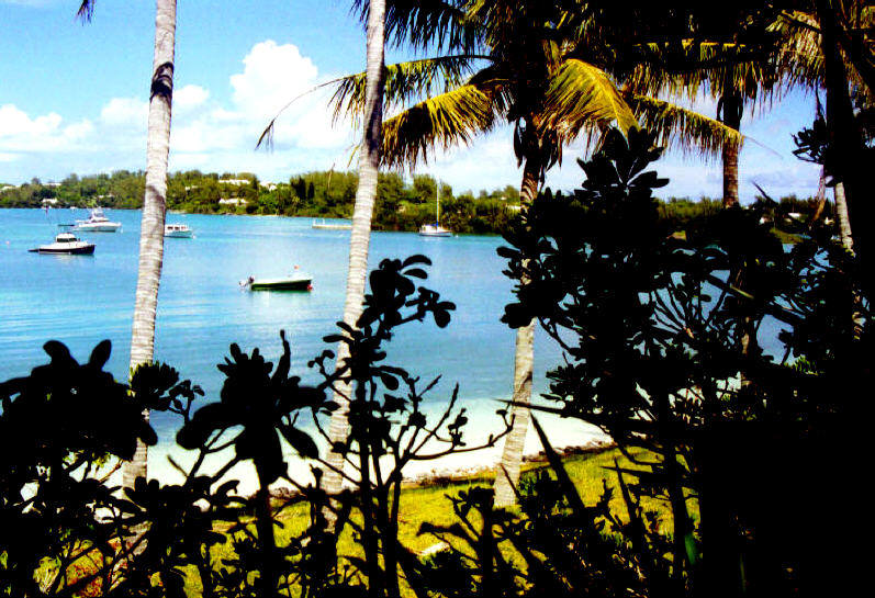 Mangrove Bay, Bermuda